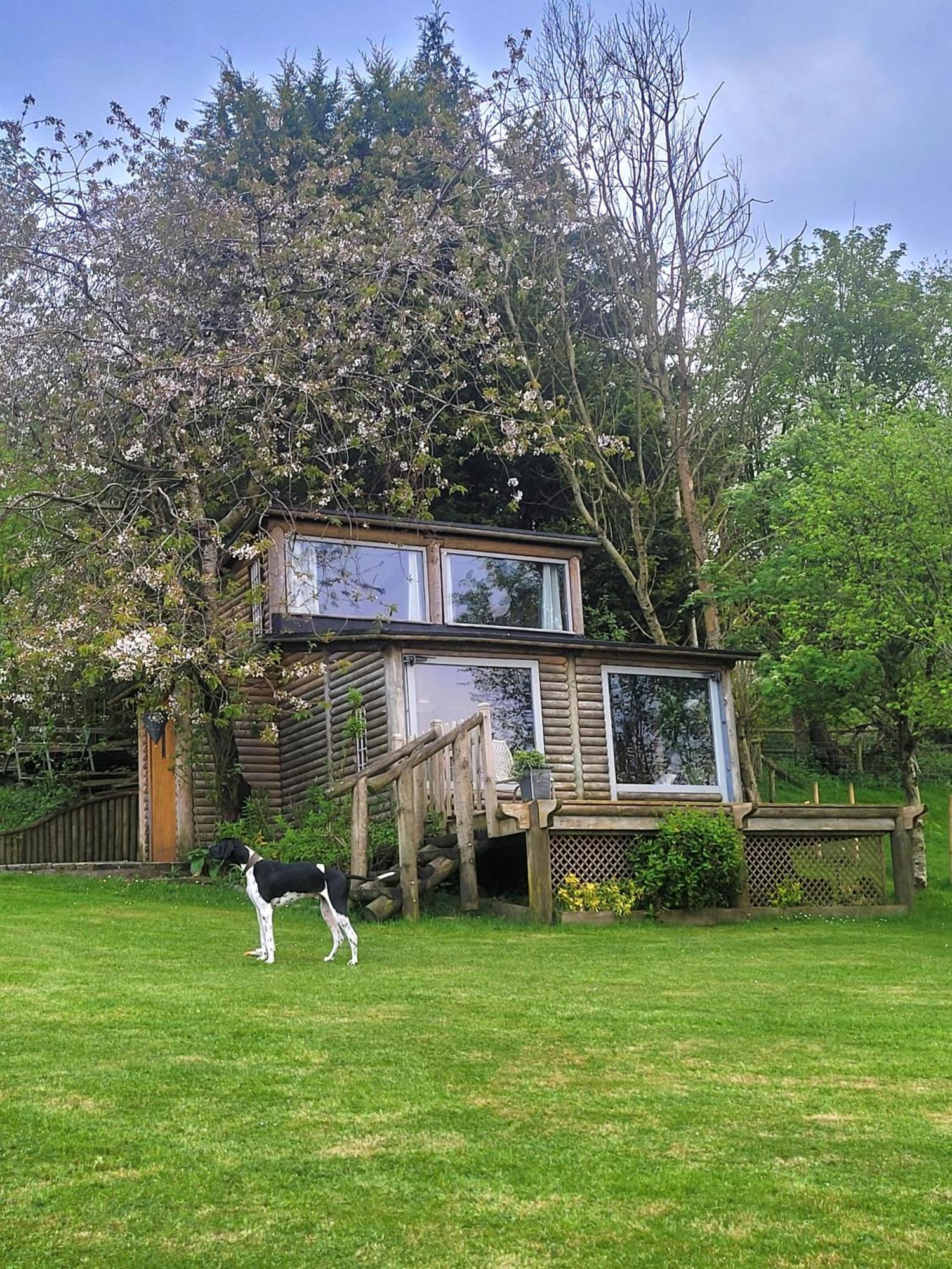 The Summerhouse Llandegla Bagian luar foto